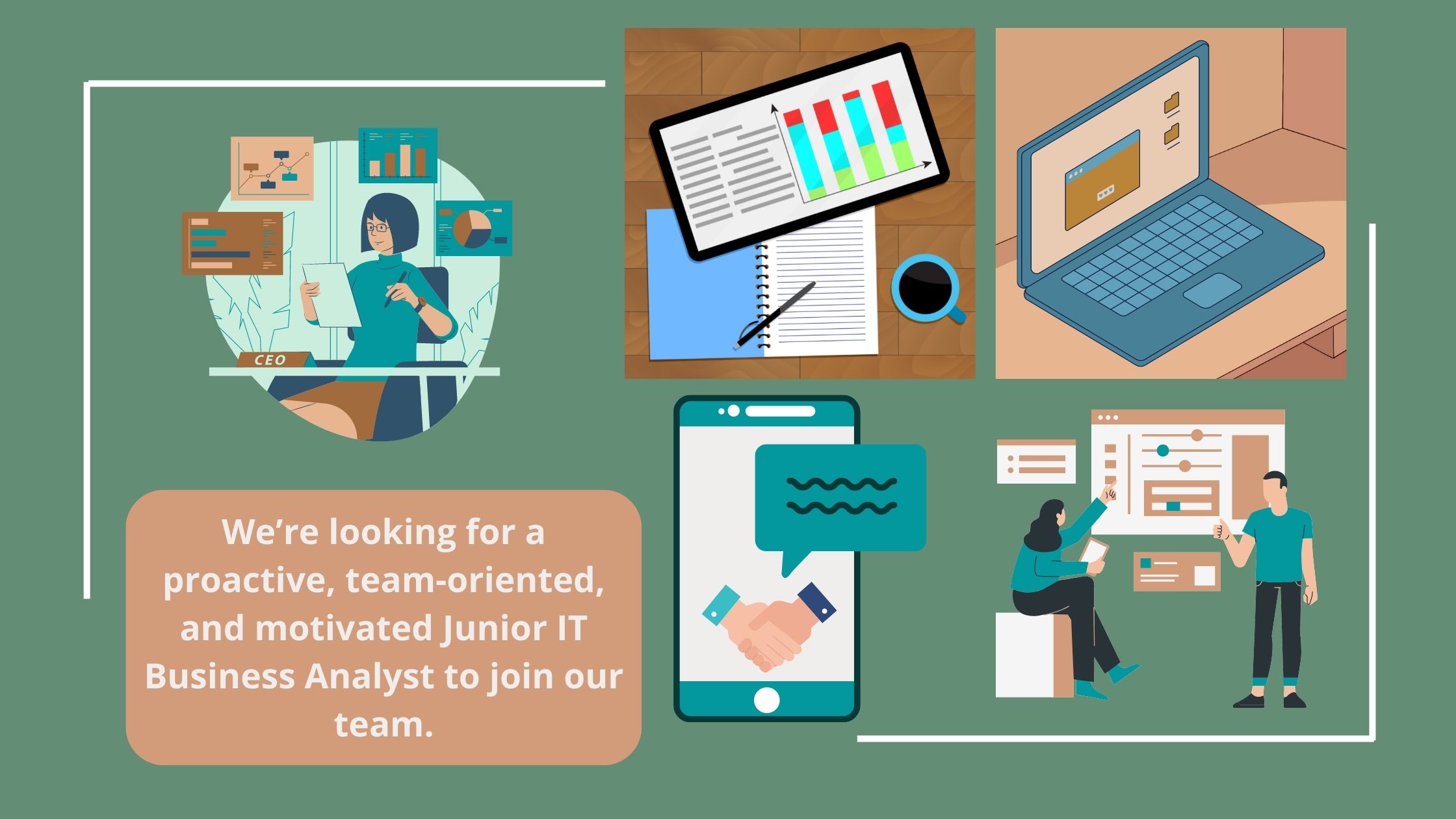 Junior IT Business Analyst